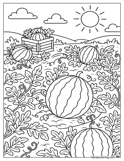 Watermelon Field Coloring Page
