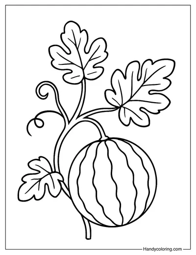 Watermelon Vine Detail Coloring Page