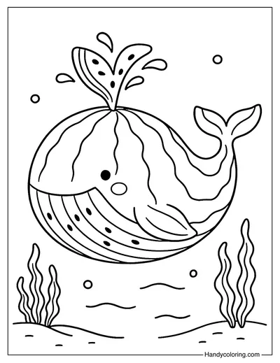 Watermelon Whale Coloring Page