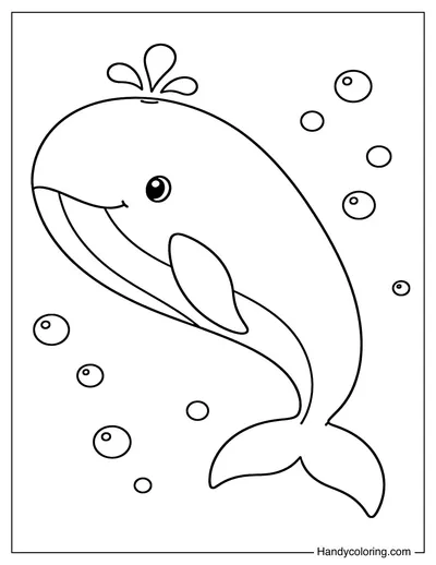 Whale With Bubble Water