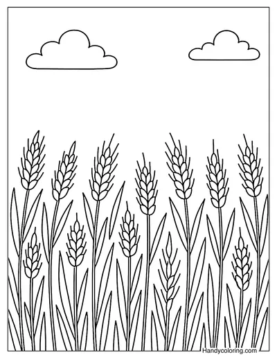 Wheat Field Under Blue Sky Coloring Page