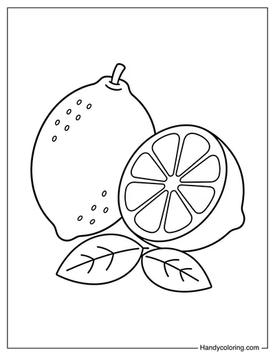 Whole Lemon and Half Lemon