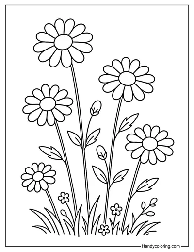 Wildflower Simple Coloring Page