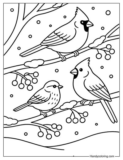 Winter Birds Coloring Page