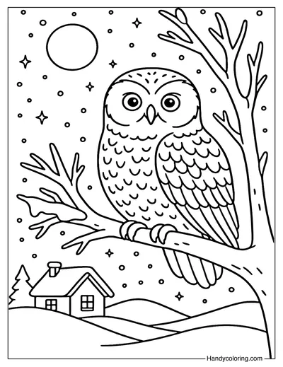 Winter Night Owl Coloring Page